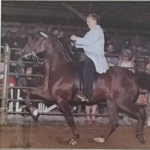 Meet your Posher, Tiffany - Picture 1 of 1